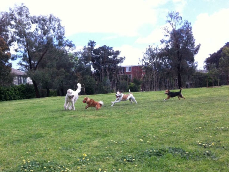 RJ Sillitoes 86 768x576