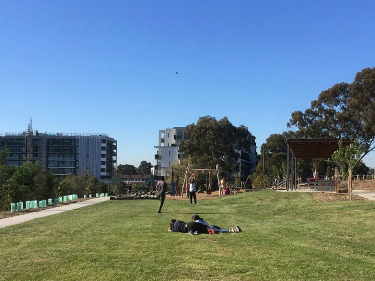 Shiels Reserve 86 768x576