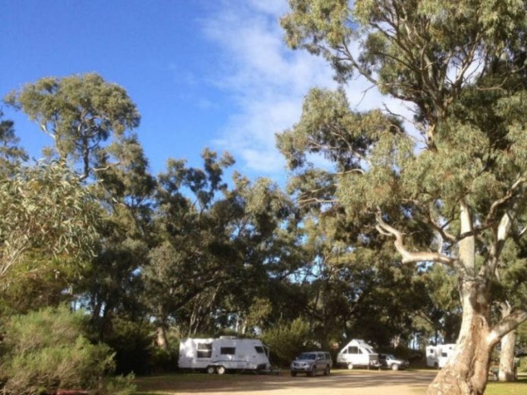 Spear Creek Caravan Park 86 768x576