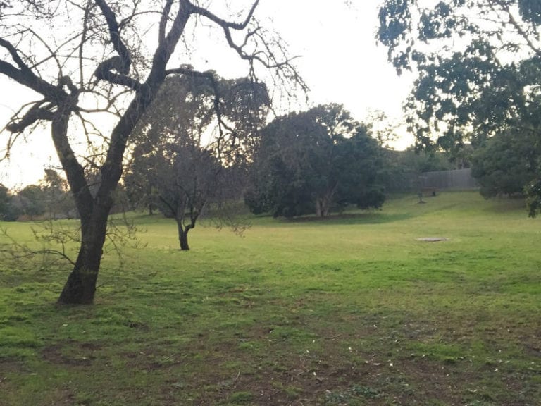 Sydare Reserve 86 768x576