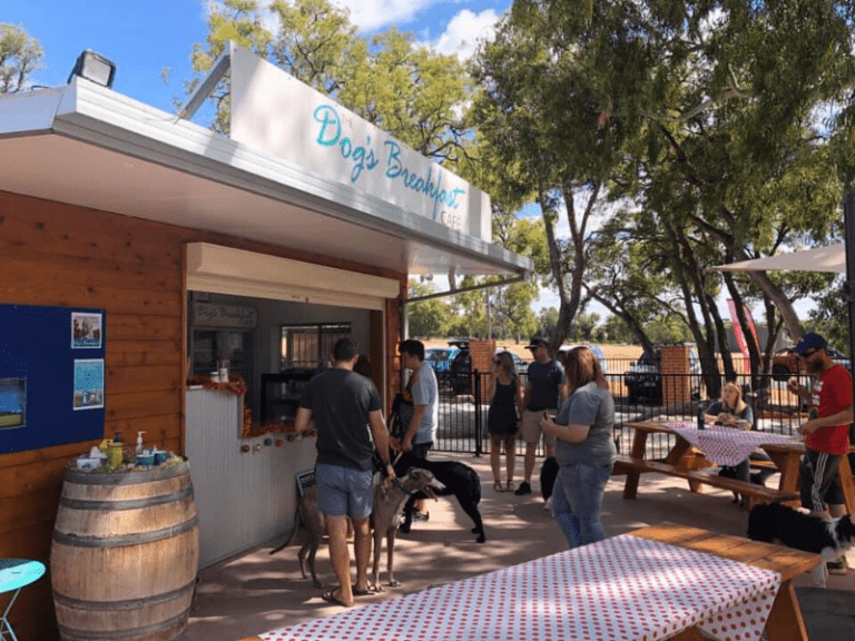 The Dogs Breakfast Cafe 768x576