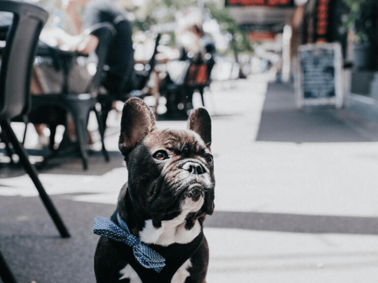 Autumn Rooms 768x576