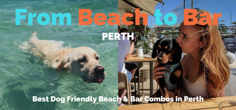 Beach to Bar Perth