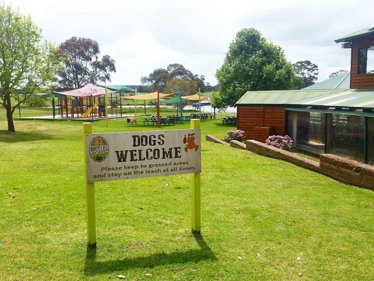 Bootleg Brewery 2 768x576