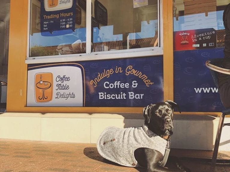 Coffee Table Delights 3 768x576