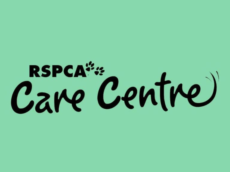 Cranky Flea Cafe 86 768x576