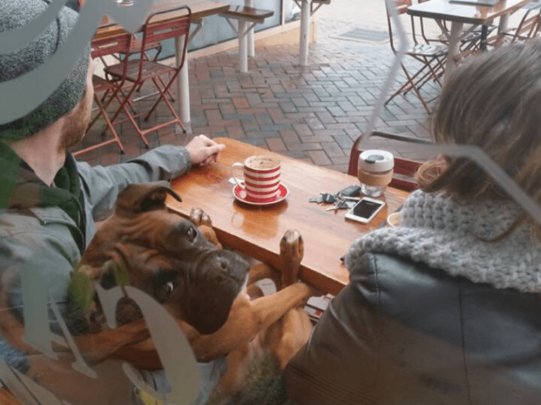 Croajingolong Cafe 768x576