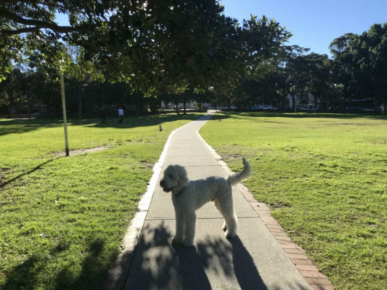 Harry noble reserve 86 768x576