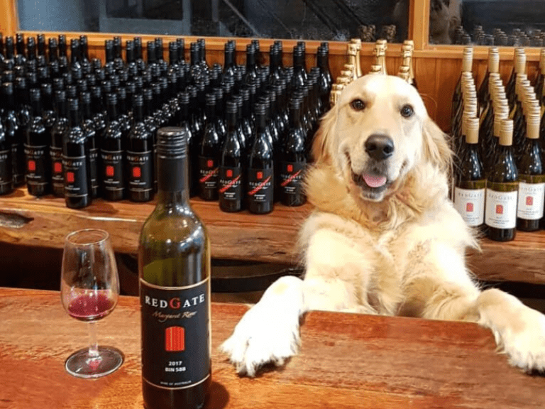 Redgate Wines 1 768x576