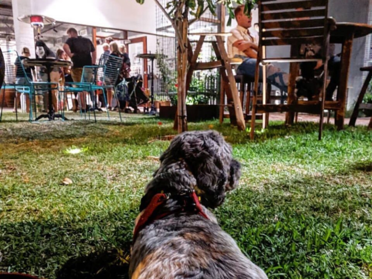 Seasonal Brewing 768x576