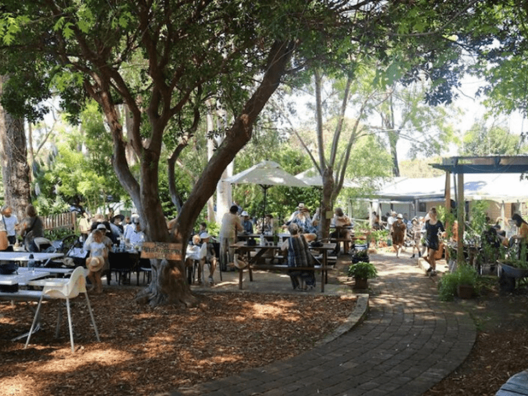 The Berry Farm 768x576