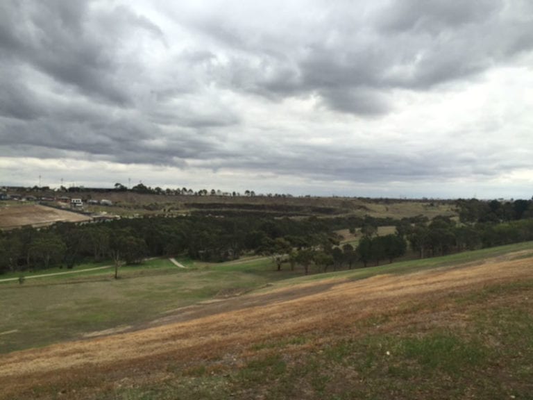 Thomson Street Reserve 86 768x576