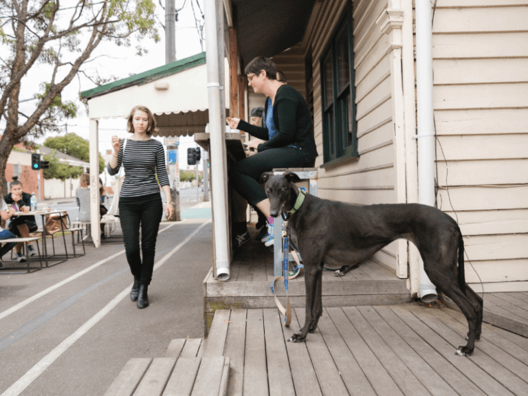 A Minor Place 768x576