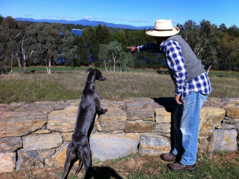 ANU Walk 2 86 768x576