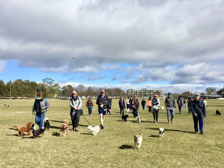 Aranda Walk 2 86 768x576