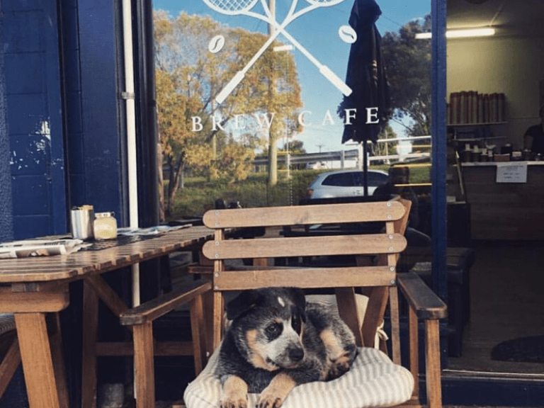 Badminton Brew Cafe 768x576