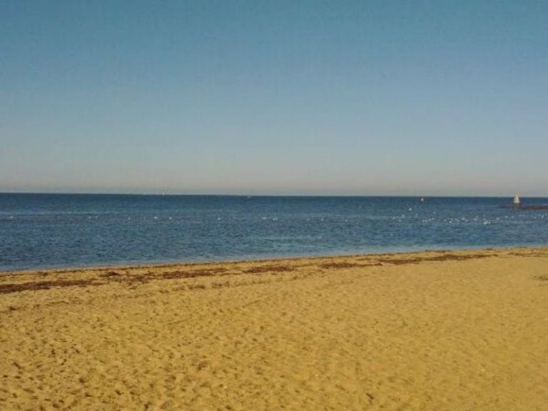 Beaumaris Life Saving 86 768x576