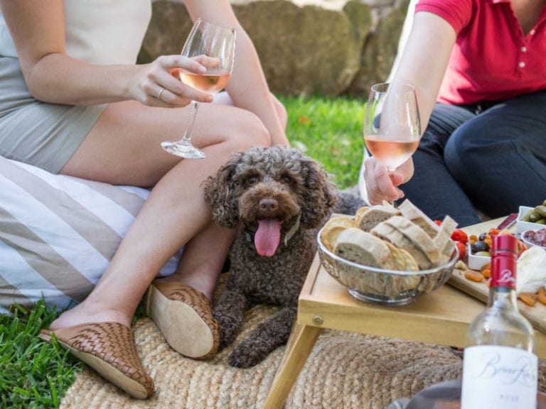 Briar Ridge Dog Friendly Winery 3 86 768x576