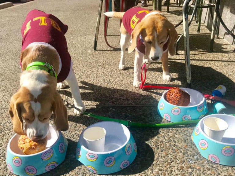 Brisbean Coffee 6 86 768x576