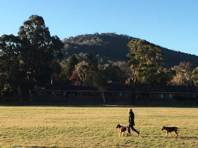 Campbell Walk 2 86 768x576