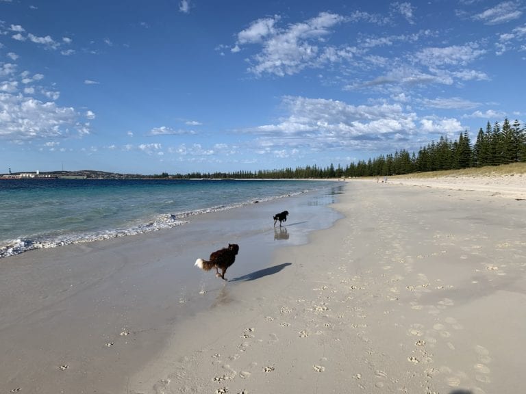 Castletown Foreshore 2 768x576