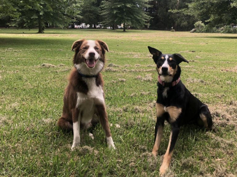 Coronation Park 2 768x576