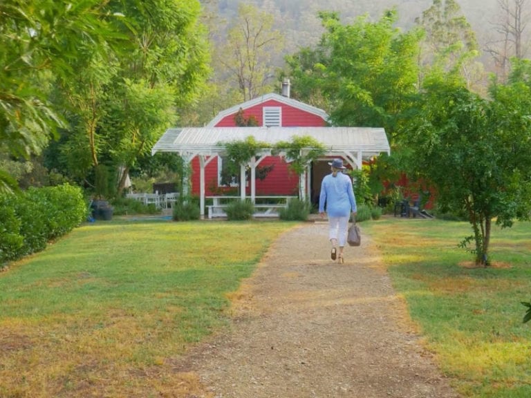 Greenway Wines 86 768x576