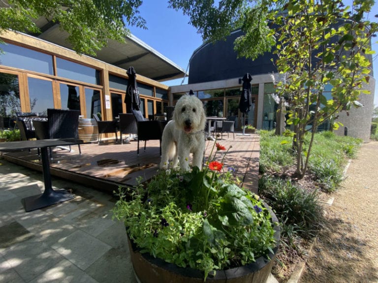 Hungerford Hill 11 86 768x576