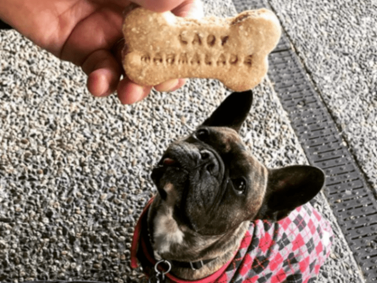 Lady Marmalade 768x576