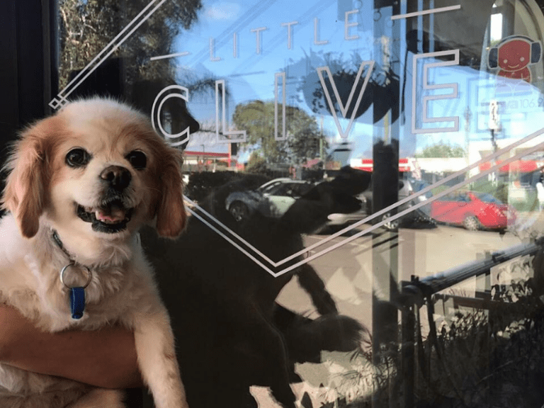 Little Clive Cafe 768x576