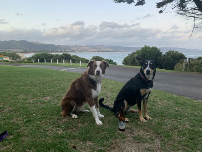 Marengo Holiday Park 2 768x576