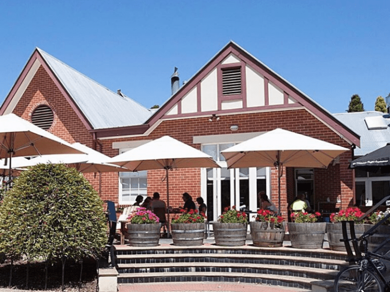 Primary @ Pioneers 768x576