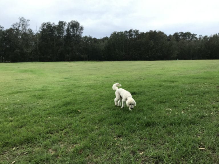 Progress park 86 768x576