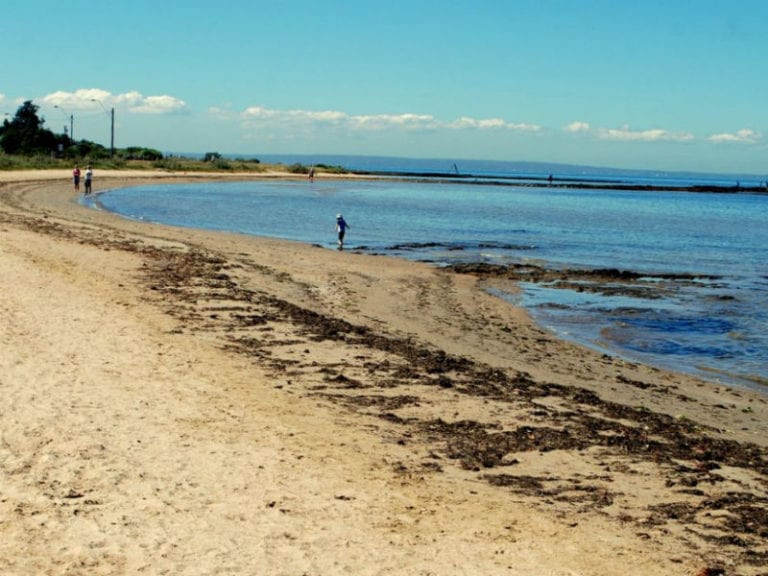Ricketts Point Beachside Cafe 86 768x576