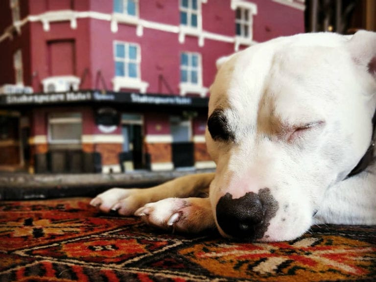 Shakespeare Hotel 4 86 768x576