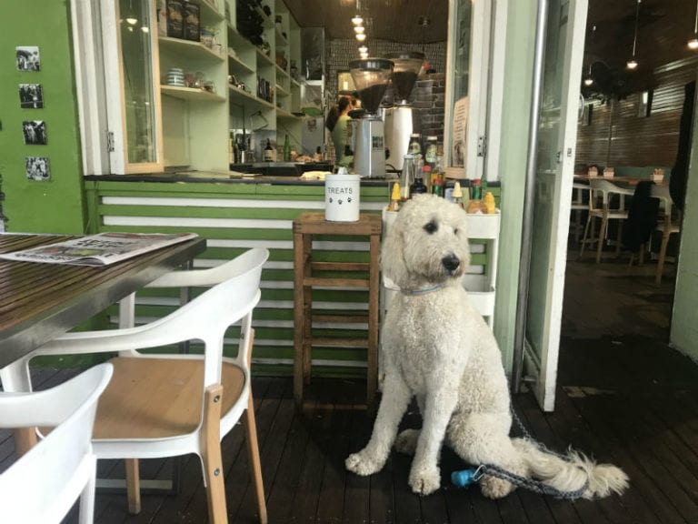 Sugarloaf 86 768x576