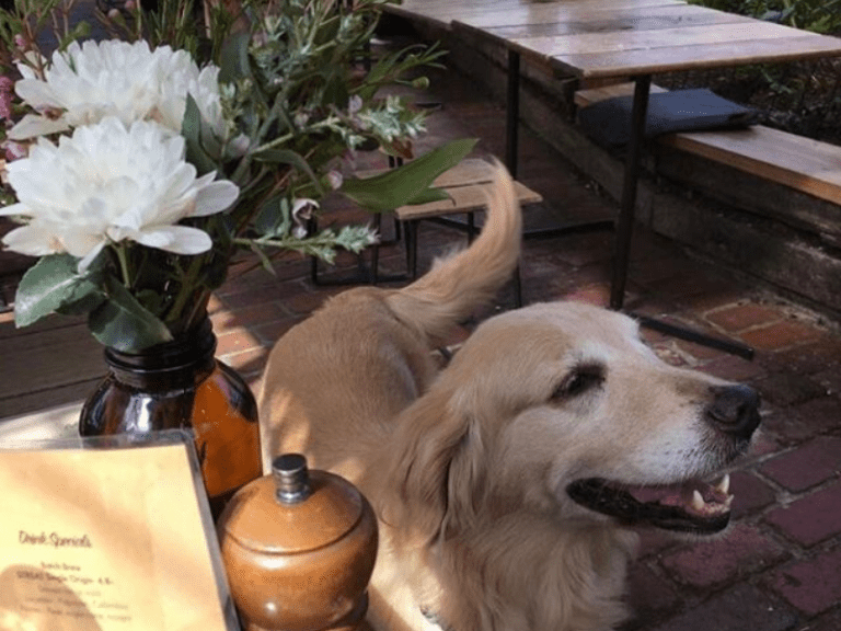 The Farm Cafe Melbourne 768x576