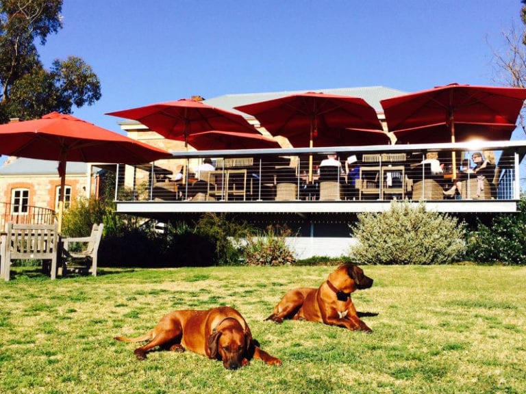 Two Hands Wines 2 86 768x576