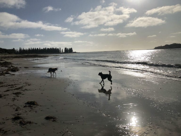 Victor Harbour West 2 86 768x576