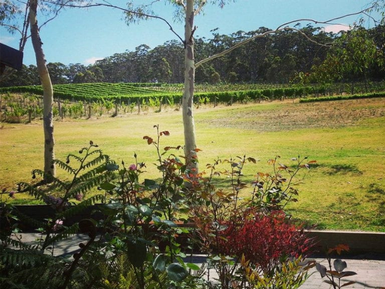 Whitfield Estate 2 86 768x576