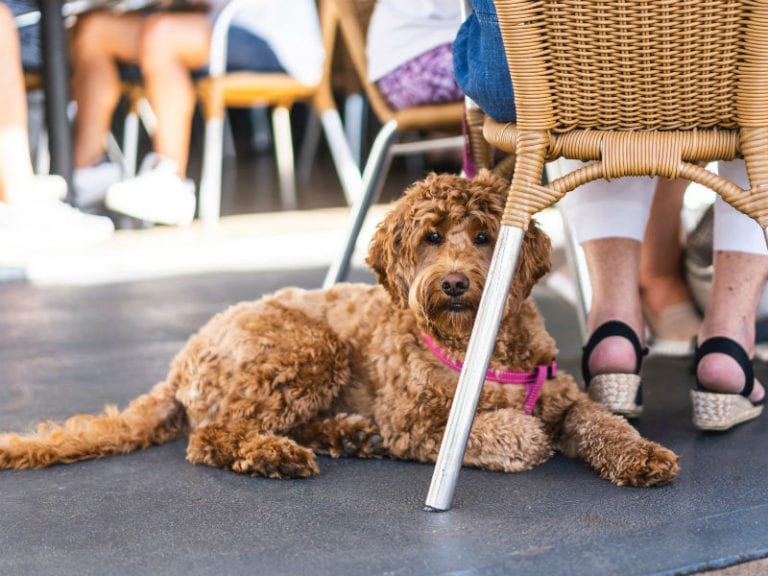 Wickham Boatshed 3 86 768x576