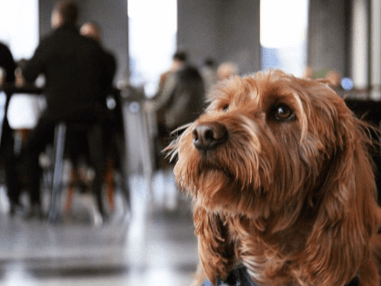 Bricklane Brewing 768x576