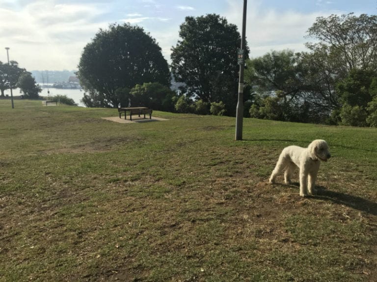 Elkington Park 86 768x576