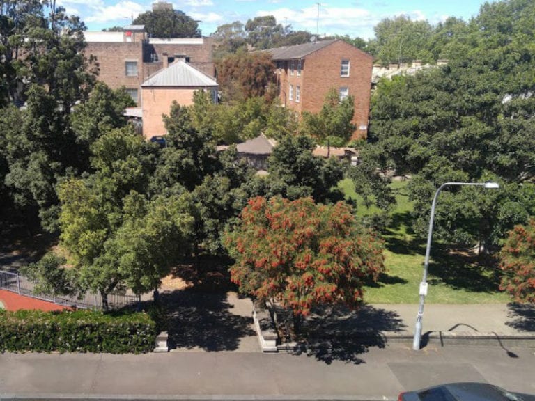 Fig Lane Park 86 768x576