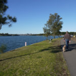 Iron Cove Bay Walk 86 150x150