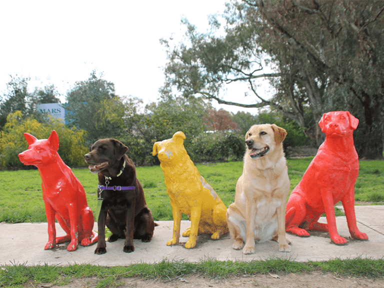 Logan Road Park 768x576