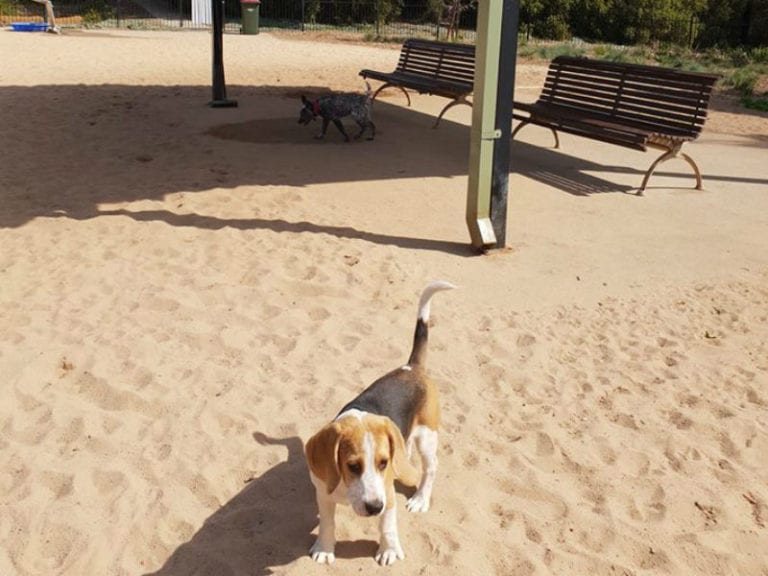 ODea Reserve Camperdown 2 86 768x576