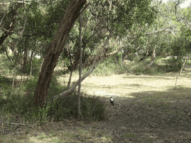 Paringa Reserve 86 768x576