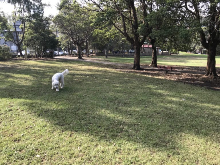 Punch Park 2 86 768x576