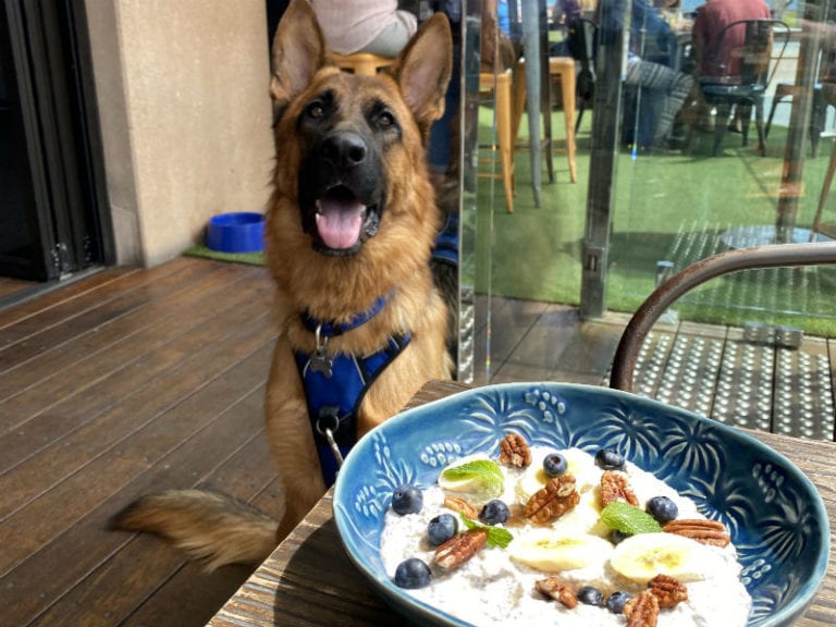 The Grand Bar 10 86 768x576